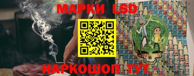 индика Обь