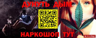 индика Обь