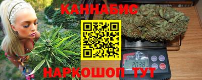 индика Обь