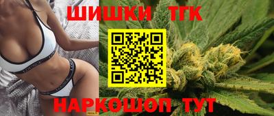 индика Обь
