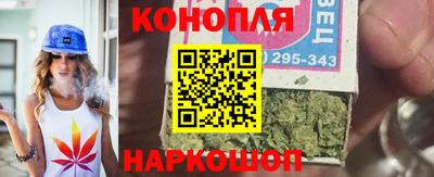 индика Обь