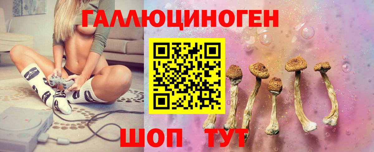 Родники  Галлюциногенные грибы мицелий  Вход с VPN 